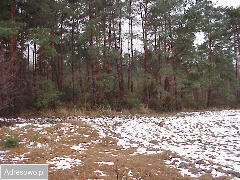 Działka rolna Bielawa. Zdjęcie 8