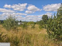 Działka inwestycyjna Mosty. Zdjęcie 4