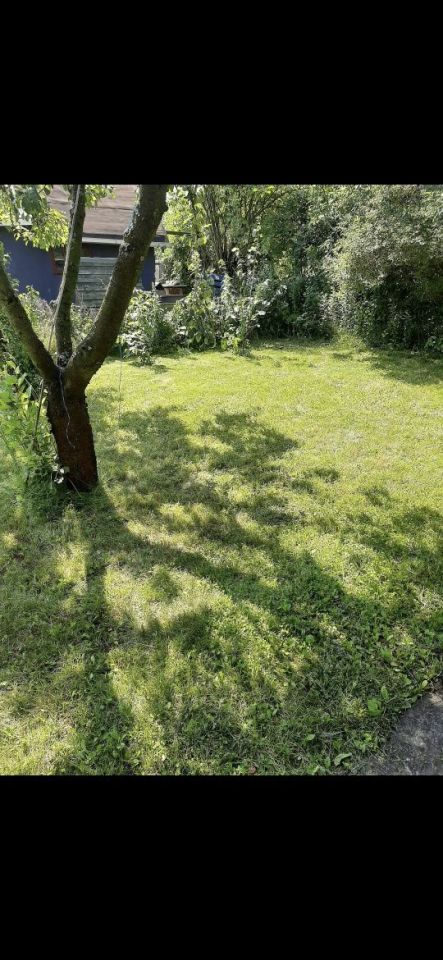 Działka rod Tczew. Zdjęcie 1