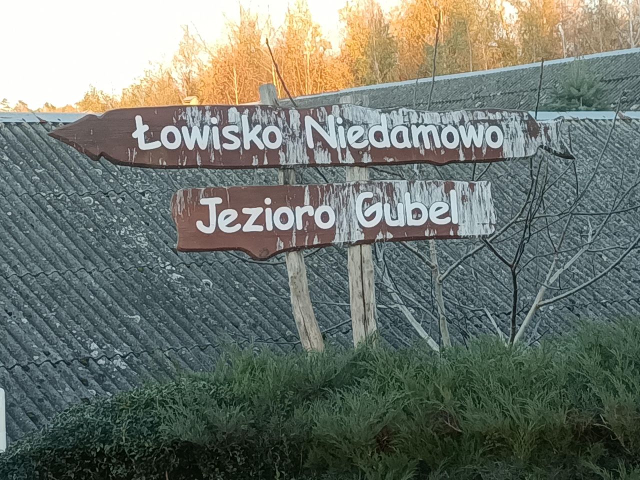 Działka rolno-budowlana Niedamowo. Zdjęcie 14