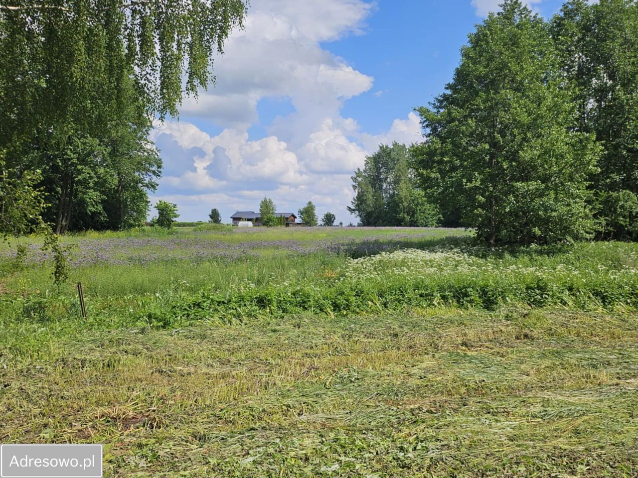 dom wolnostojący, 5 pokoi Pasynki. Zdjęcie 13