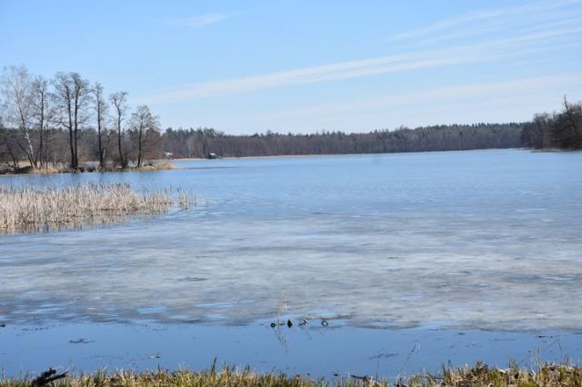 Działka rekreacyjna Sople. Zdjęcie 2