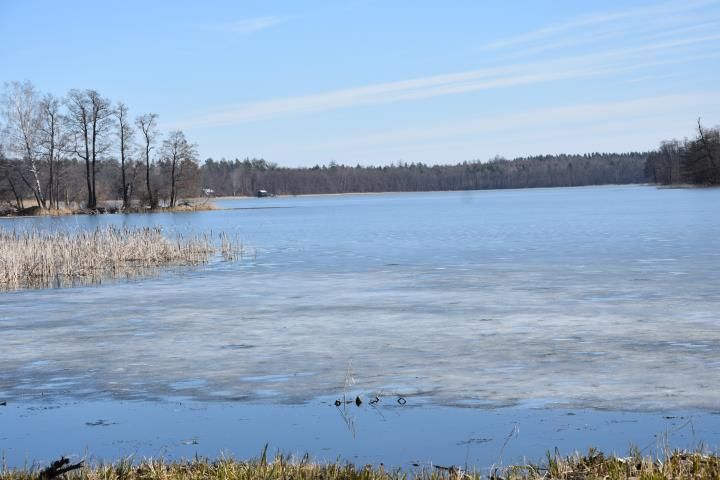 Działka rekreacyjna Sople. Zdjęcie 2