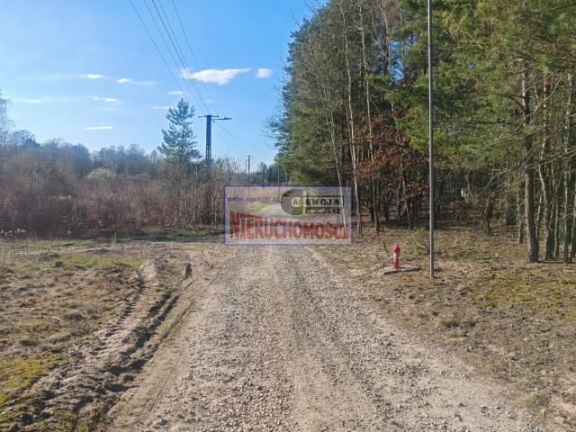 Działka budowlana Kąck, ul. Leśna. Zdjęcie 8