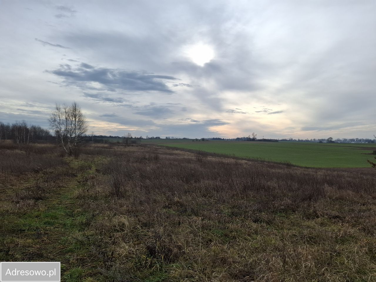 Działka budowlana Marwice. Zdjęcie 8
