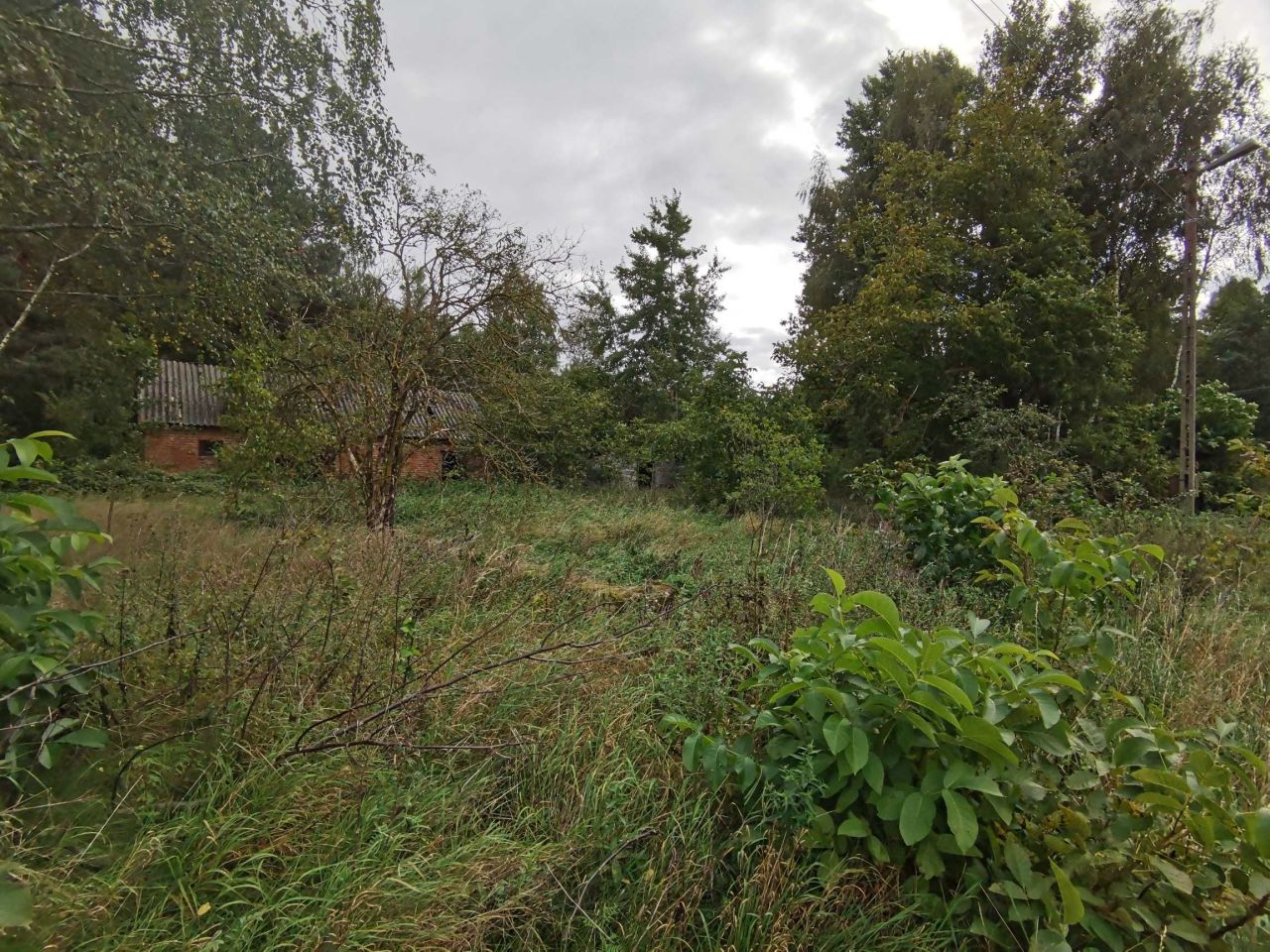 Działka rolno-budowlana Międzyleś. Zdjęcie 4