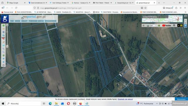 Działka leśna Solec-Zdrój. Zdjęcie 1