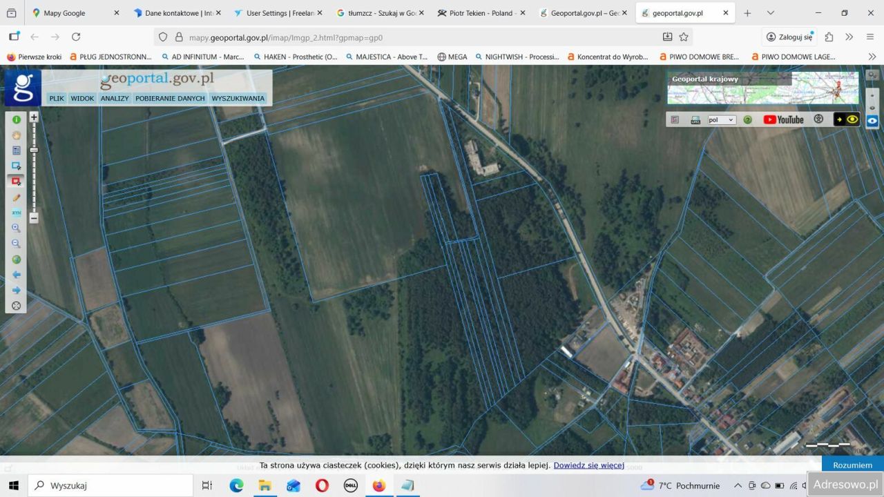 Działka leśna Solec-Zdrój