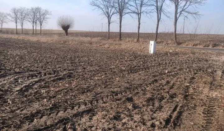 Działka budowlana Rgielsko, ul. Solarna