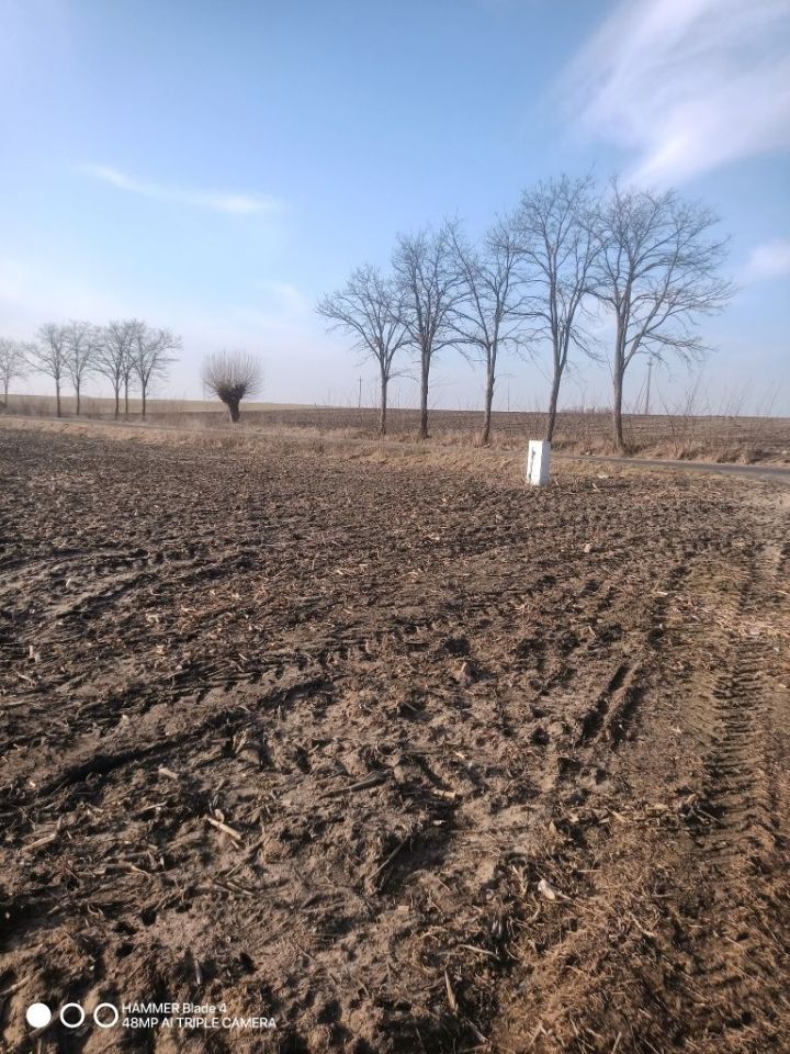 Działka budowlana Rgielsko, ul. Solarna. Zdjęcie 1