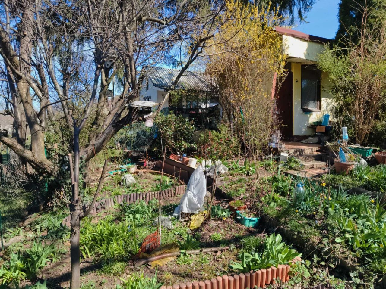 Działka rekreacyjna Dąbrowa Górnicza, al. Józefa Piłsudskiego