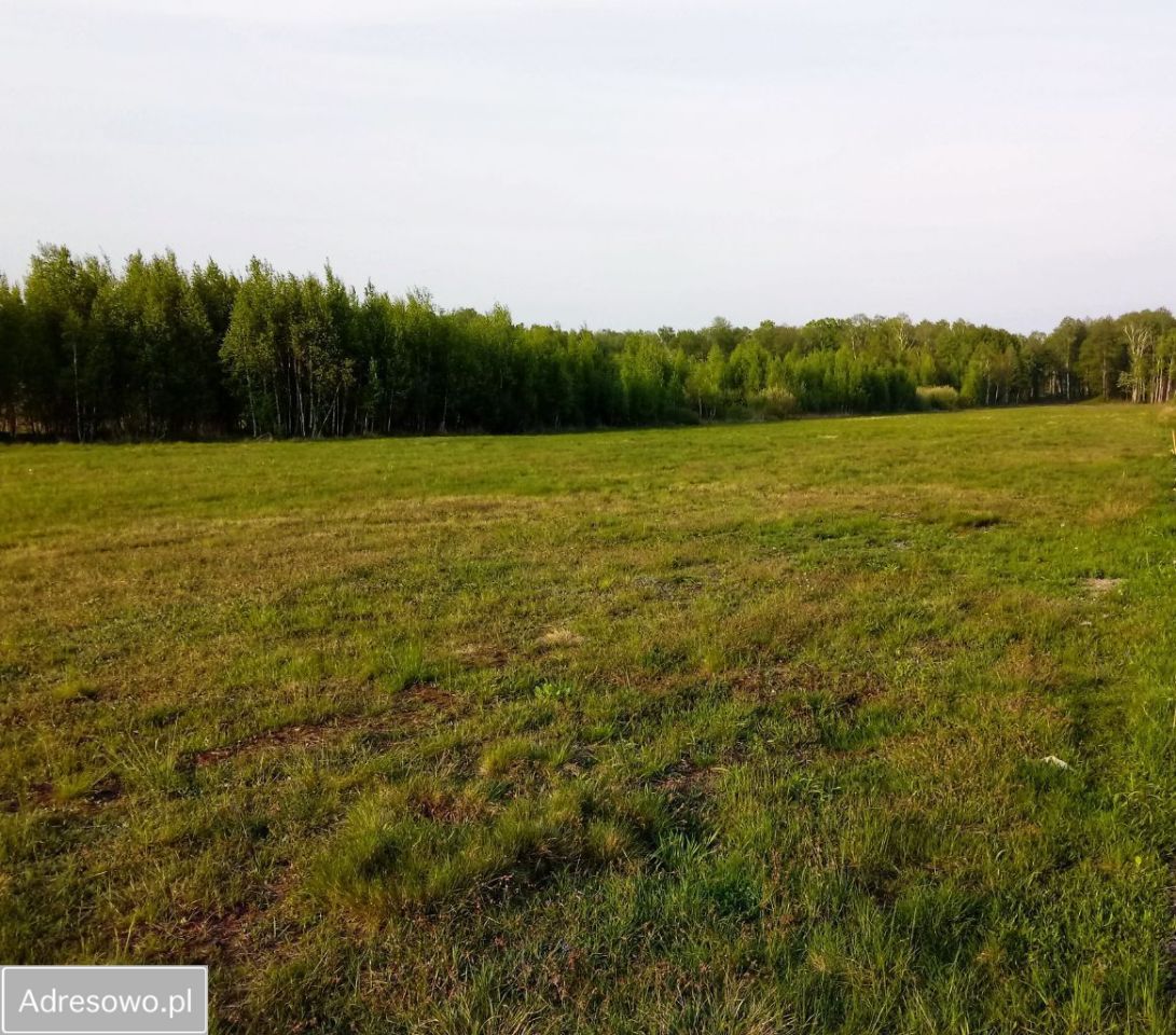 Działka budowlana Warszawa Śródmieście, ul. Wojdyńska. Zdjęcie 3