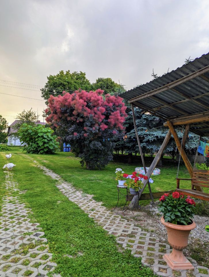 dom wolnostojący, 3 pokoje Grabowiec, ul. Wojsławska. Zdjęcie 4