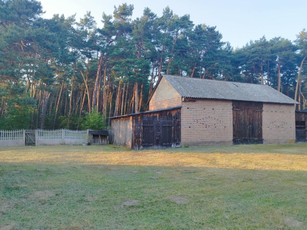 siedlisko Ścichawa. Zdjęcie 4