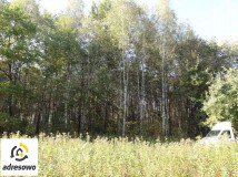 Działka leśna Nowy Prażmów, ul. Leśna. Zdjęcie 4