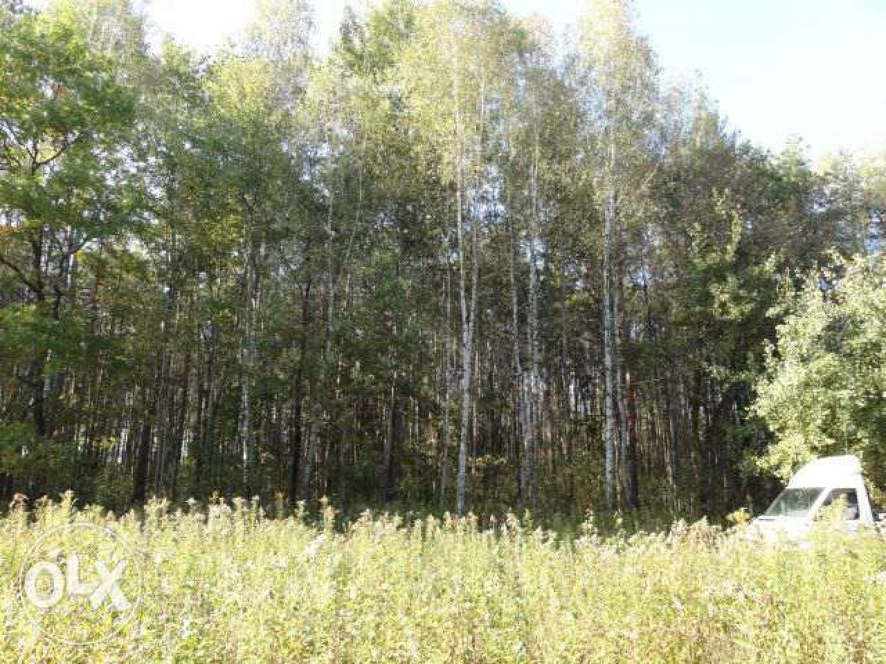 Działka leśna Nowy Prażmów, ul. Leśna. Zdjęcie 5