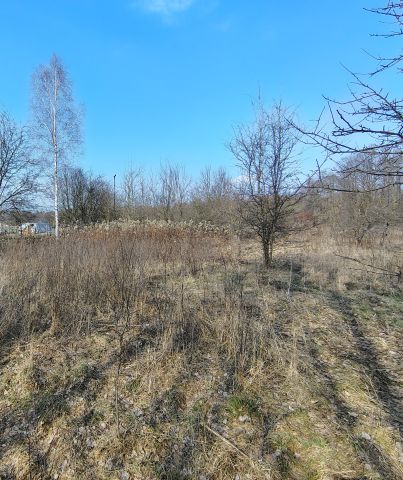 Działka budowlana Skuły Nadleśnictwo Skuły, ul. Jaworowa. Zdjęcie 1