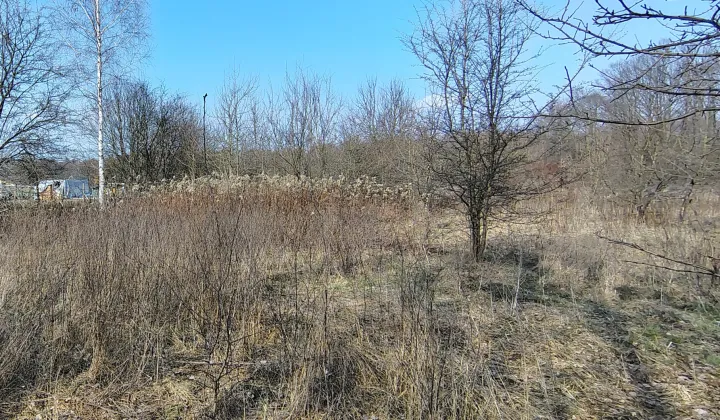 Działka budowlana Skuły Nadleśnictwo Skuły, ul. Jaworowa