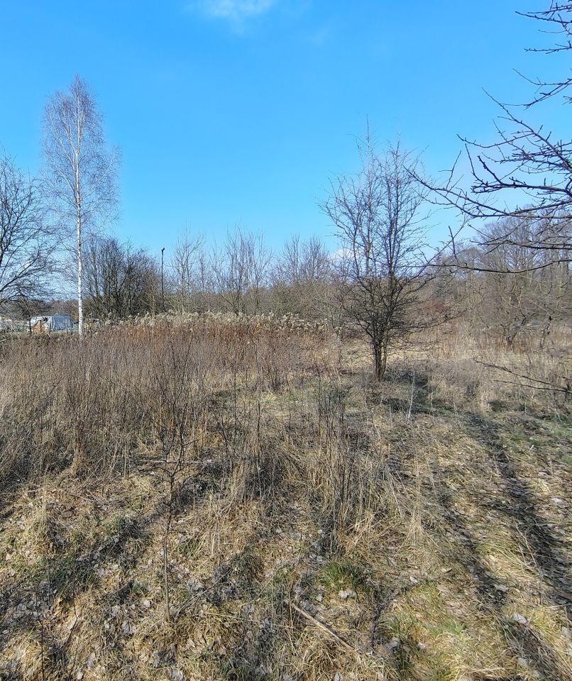 Działka budowlana Skuły Nadleśnictwo Skuły, ul. Jaworowa. Zdjęcie 1
