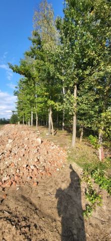 Działka budowlana Maków Nowy, ul. Błękitna. Zdjęcie 1