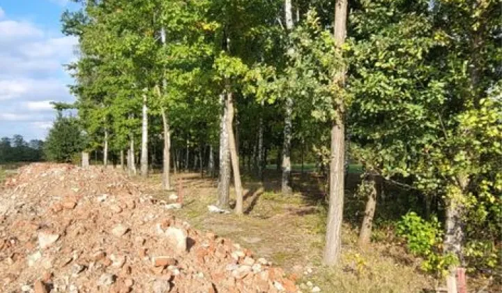 Działka budowlana Maków Nowy, ul. Błękitna