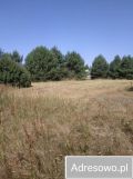 Działka budowlana Kąty. Zdjęcie 4