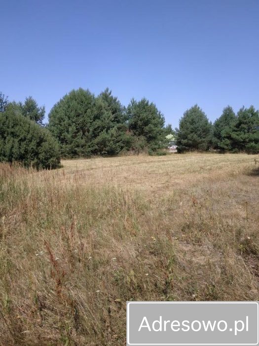 Działka budowlana Kąty. Zdjęcie 5