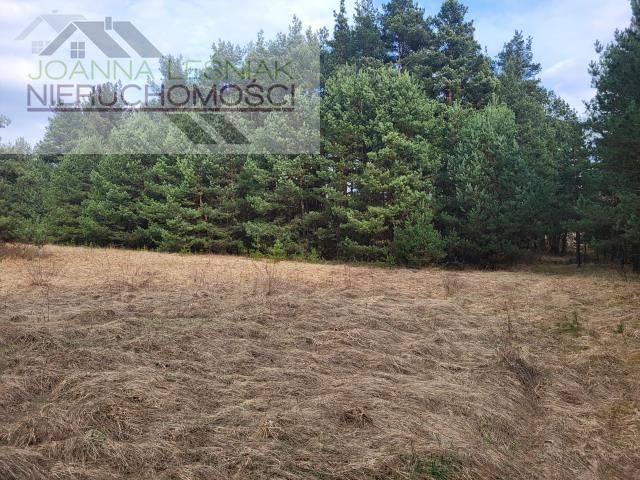 Działka budowlana Chechło. Zdjęcie 2