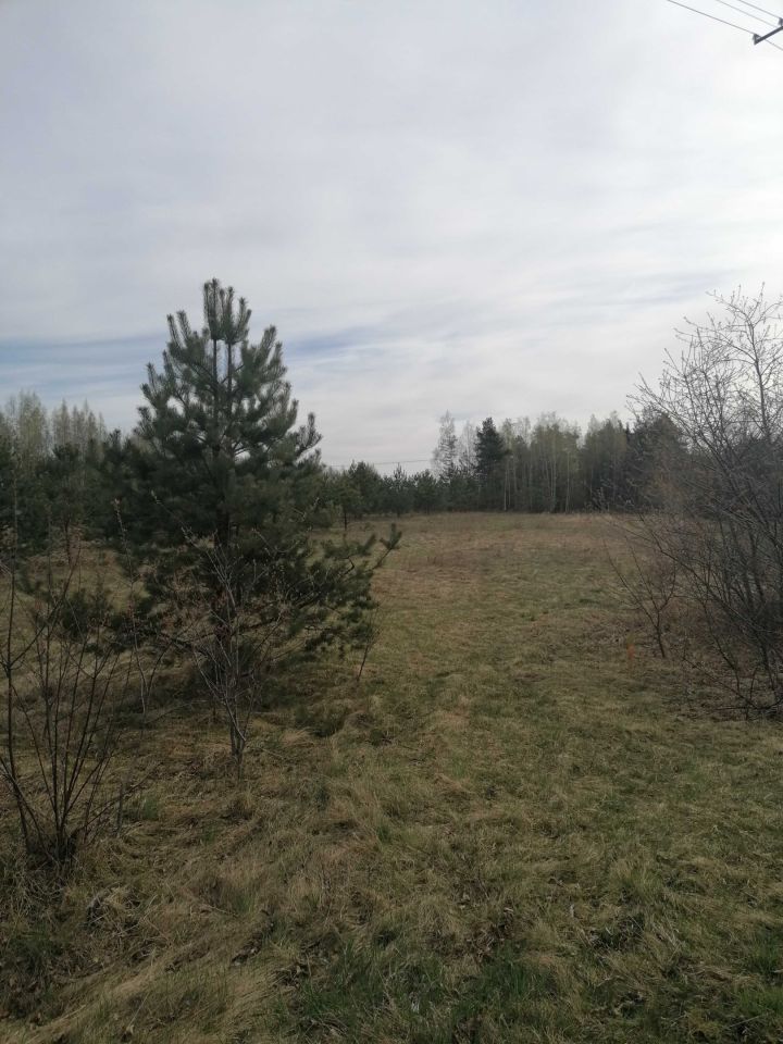 Działka budowlana Serwy. Zdjęcie 5