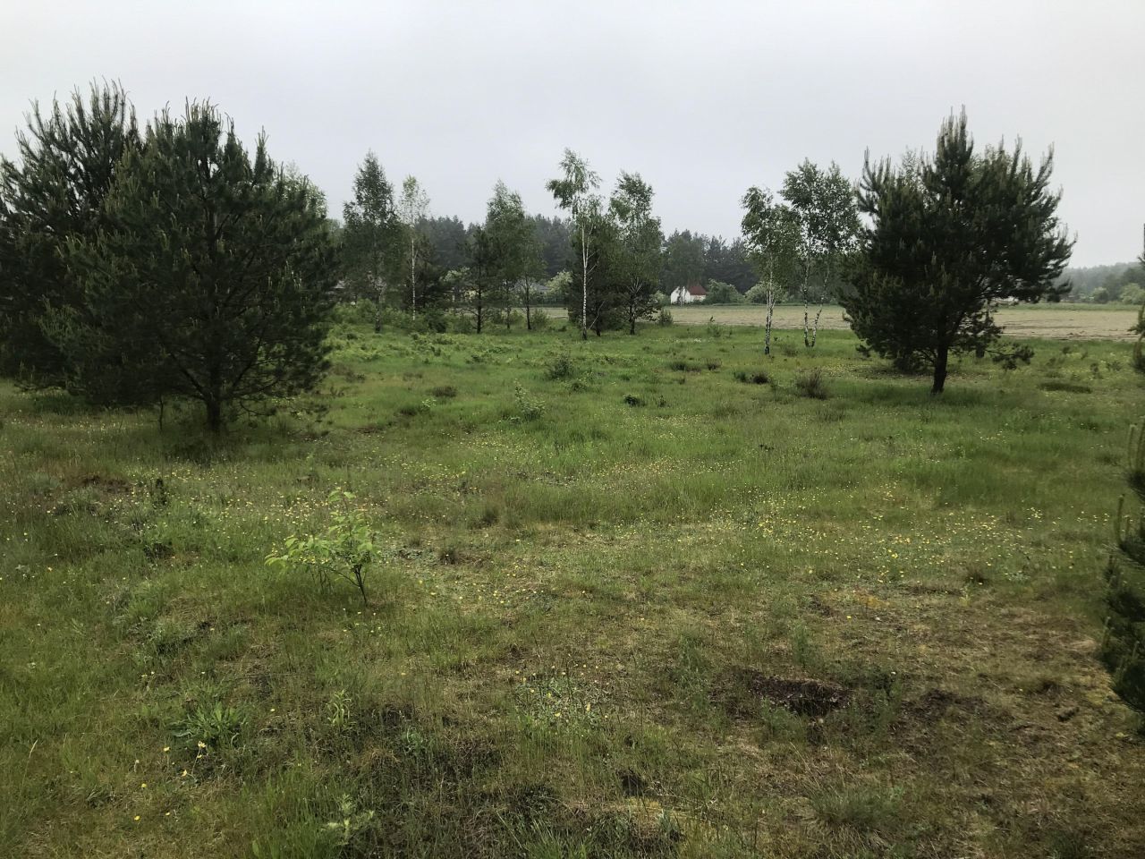 Działka budowlana Główka. Zdjęcie 3