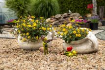 Działka rod Kluczbork, ul. Dworcowa. Zdjęcie 1