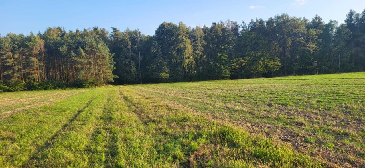 Działka budowlana Lubiaszów Nowy Lubiaszów. Zdjęcie 5