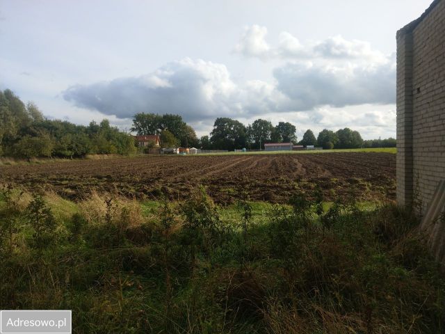 Działka rolna Sierosław. Zdjęcie 1
