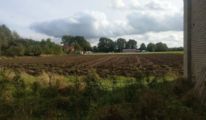 Działka rolna Sierosław