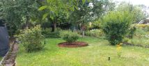 Działka rod Zabrze, ul. Botaniczna. Zdjęcie 4