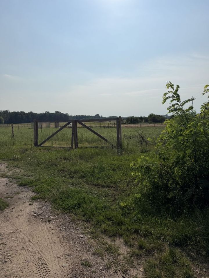Działka budowlana Młodzieszyn. Zdjęcie 3