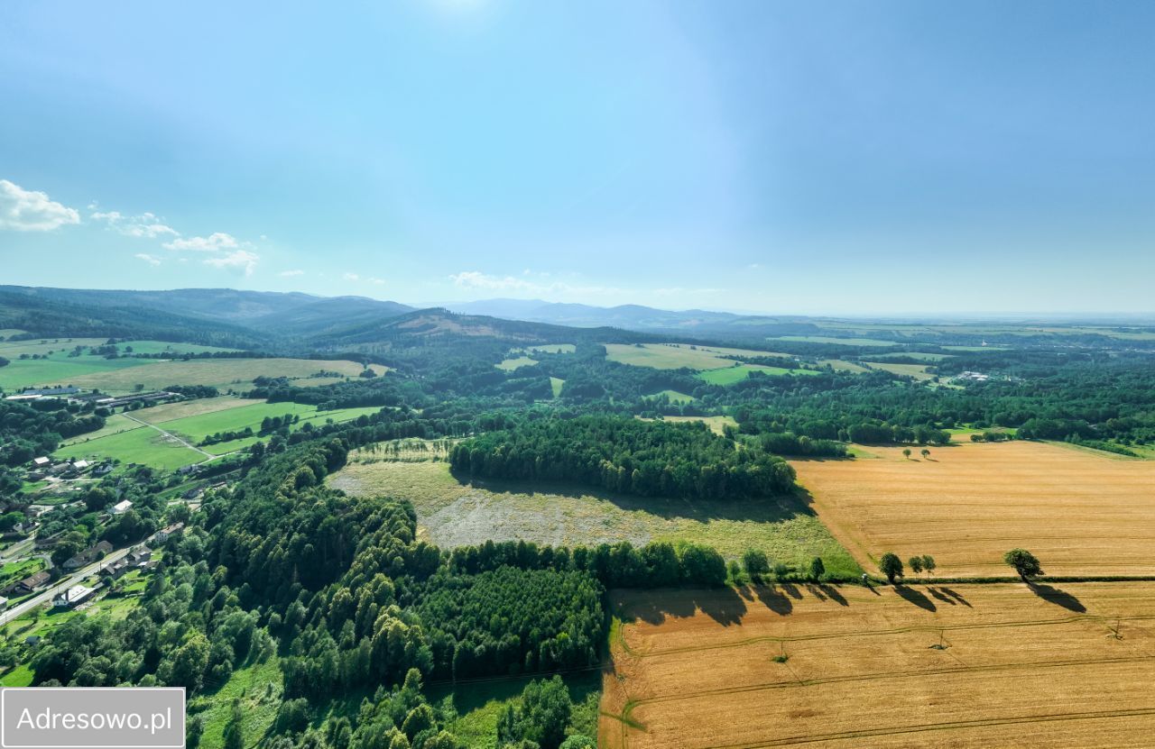 Działka budowlana Podlesie. Zdjęcie 17