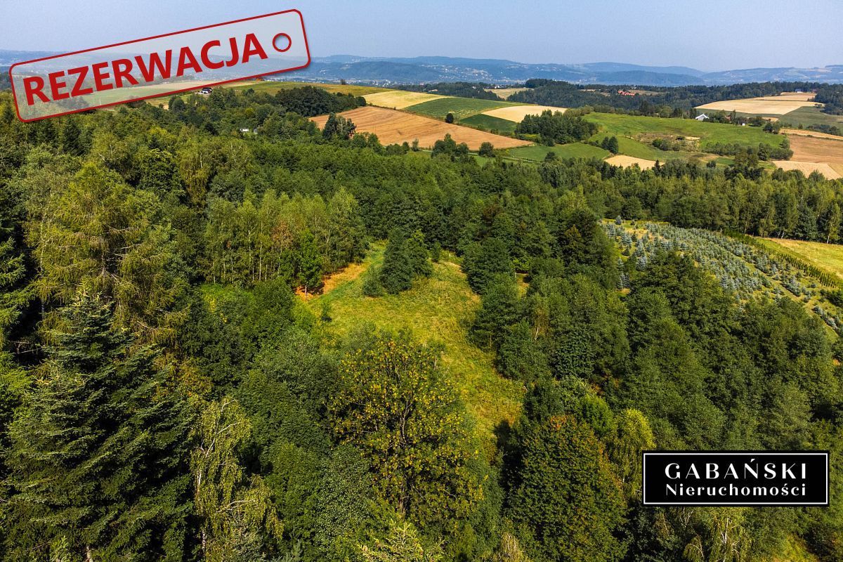 Działka budowlana Słona. Zdjęcie 13