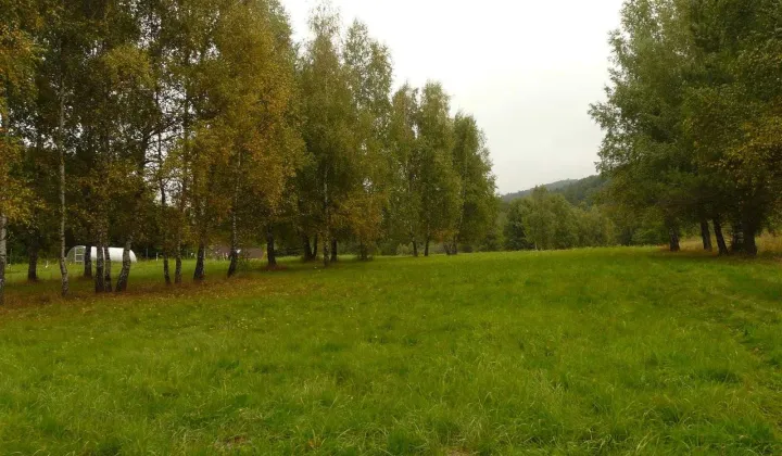 Działka inwestycyjna Wysowa-Zdrój