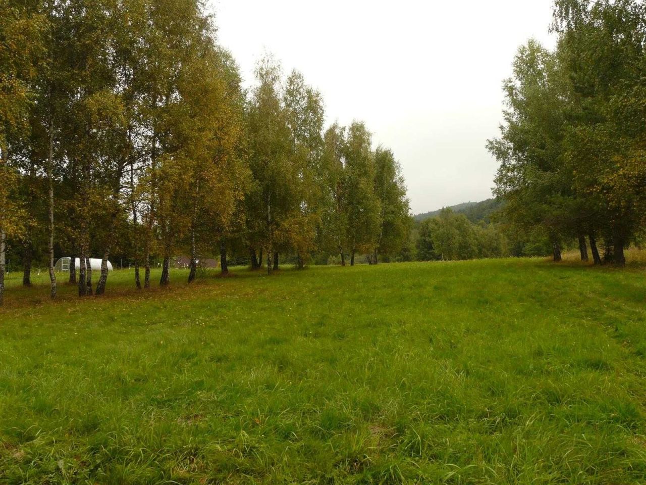 Działka inwestycyjna Wysowa-Zdrój