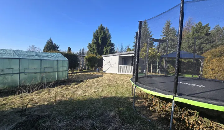 Działka rod Łódź Rokicie, ul. Świętojańska