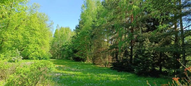Działka siedliskowa Krzywowierzba. Zdjęcie 1