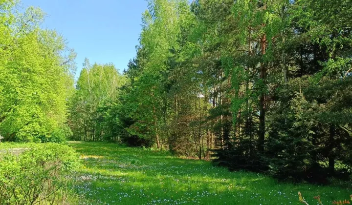 Działka siedliskowa Krzywowierzba