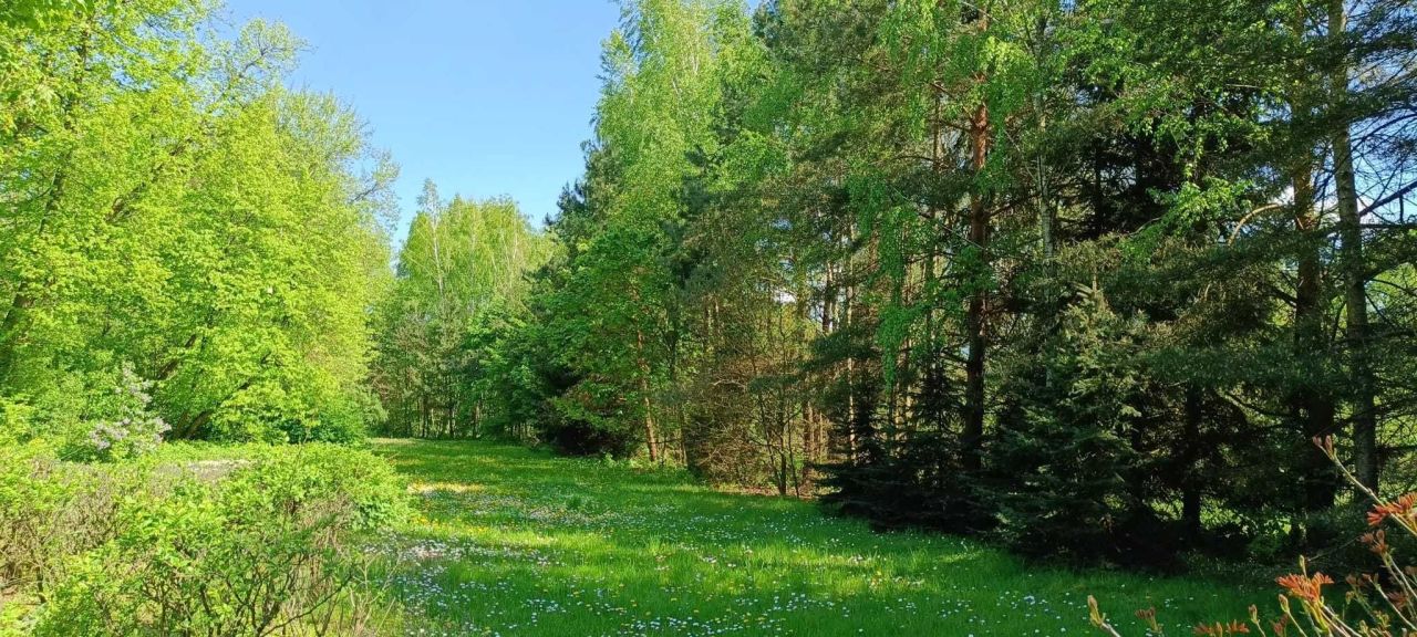 Działka siedliskowa Krzywowierzba. Zdjęcie 1