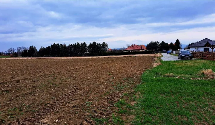 Działka budowlana Lutomia Dolna Stachowiczki