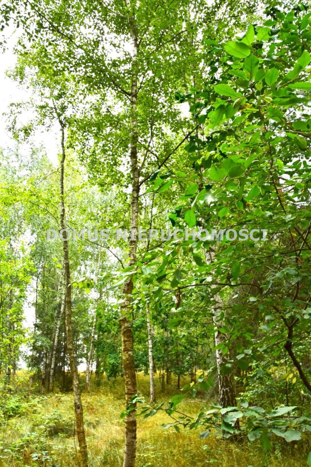 Działka Zacywilki
