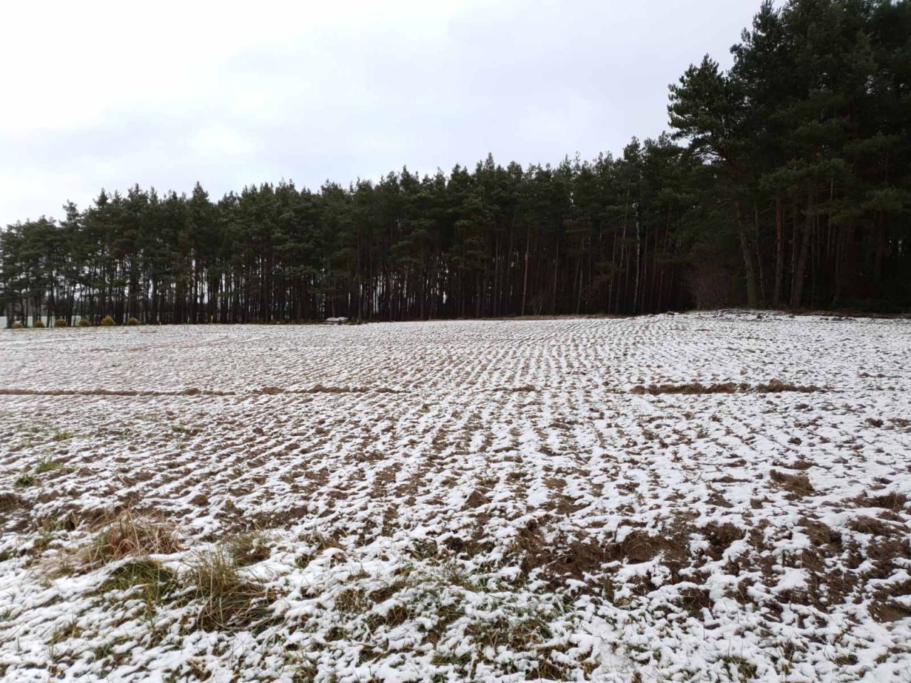Działka budowlana Gorczeniczka. Zdjęcie 16