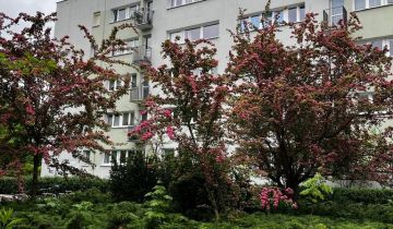 Mieszkanie 3-pokojowe Warszawa Bielany, ul. Literacka