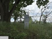 Działka rolna Kołowo. Zdjęcie 1