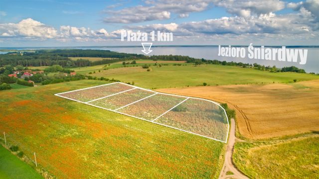 Działka rolna Dziubiele. Zdjęcie 1